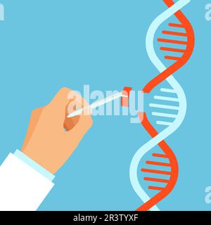 Forschung oder DNA-Test wissenschaftlich. Der Arzt untersucht menschliche DNA. Genetische Wissenschaft und Genchromosom erforschen. Vektordarstellung. Stock Vektor