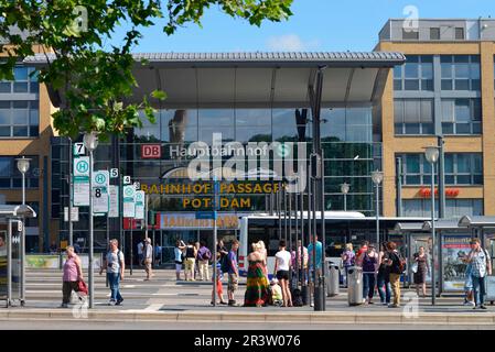 Hauptbahnhof, Potsdam, Brandenburg, Deutschland Stockfoto