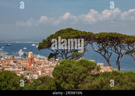 St-Tropez, Blick auf den Golfe de Saint-Tropez mit Gemeindekirche, CÃ d'Azur Stockfoto