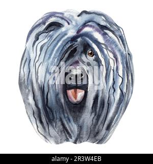 Aquarell illustriertes Porträt eines Puli Hundes. Süßes, lockiges Gesicht eines Haushundes. Stockfoto