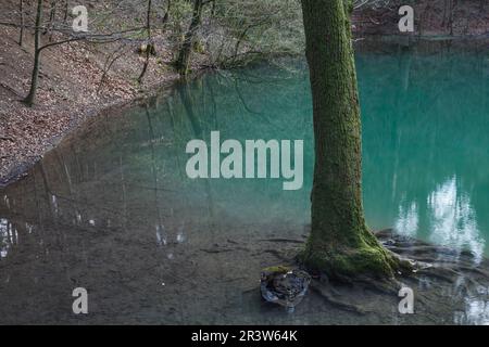 Noller-Schlucht bei Dissen, Waldsee, OsnabrÃ¼cker Land, Niedersachsen Stockfoto