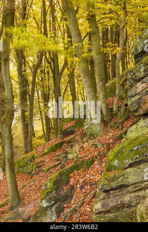 Tecklenburg, Hexenküche, Berghang, Felsen, Tecklenburger Land, Nordrhein-Westfalen Stockfoto