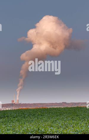 Stillgelegtes Kohlekraftwerk in IbbenbÃ¼ren, Nordrhein-Westfalen Stockfoto