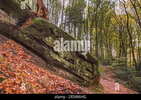 Tecklenburg, Hexenküche, Felsen, Tecklenburger Land, Nordrhein-Westfalen Stockfoto