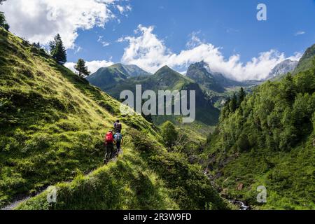 Wanderer auf der Spur Stockfoto