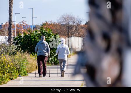 Ältere Ehepaare, die in ihrer Nachbarschaft nordic Walking praktizieren Stockfoto