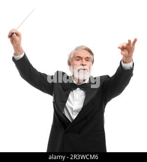 Professioneller Leiter mit Stab auf weißem Hintergrund Stockfoto
