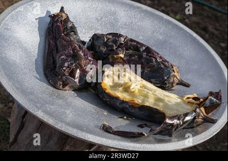 Gesundes vegetarisches Gericht mit gegrillter Aubergine. Ganze Auberginen werden auf einem offenen Herdfeuer gekocht. Fertig zubereitete Beilage für ein Fleischgericht. Stockfoto