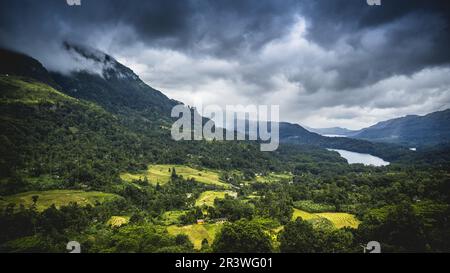 Eine neblige/bewölkte Landschaft, fotografiert in Nuwara Eliya, Sri Lanka. Stockfoto