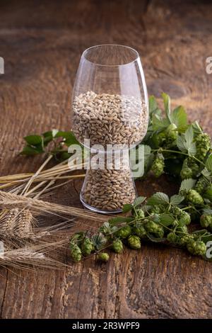 Malz in einem Glas mit Hopfen und Gerste Stockfoto