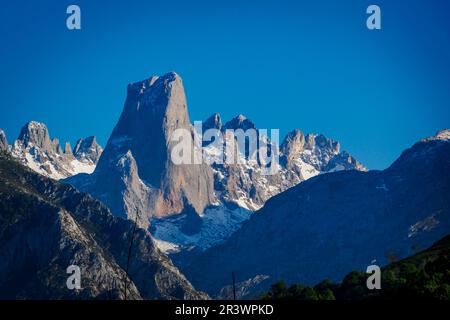 Blick auf PICU Urriellu oder Naranjo de Bulnes Stockfoto