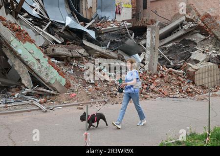 OKHTYRKA, UKRAINE - 24. MAI 2023 - Eine Frau geht mit einem Hund an einem Gebäude vorbei, das durch russische Muscheln ruiniert wurde, Okhtyrka, Sumy Region, Nordostukraine. Stockfoto