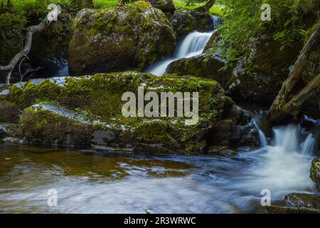 Kleiner Wasserfall auf Aira Beck in der Nähe von Dockray im Lake District Stockfoto