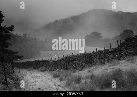 Nebeliger Morgen nahe Rydall Mount im Lake District Stockfoto