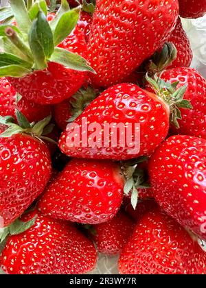 Hintergrund aus erntefrischen Erdbeeren direkt über Stockfoto