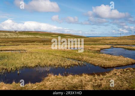 Blick vom RSPB Funzie Vogel Versteck mit Blick auf die Mires of Funzie auf Fetlar, Shetland. Stockfoto