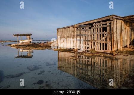 Estany des Peix Stockfoto