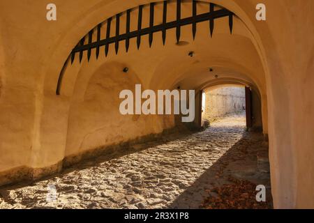 Mittelalterlicher Eingang mit Toren. Architektonischer Hintergrund Stockfoto