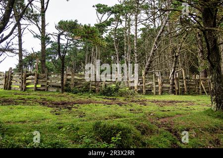 Galizisches Panorama entlang der Straße nach San Andres de Teixido, Einer Provinz Coruna, Galicien. Ruta de la Miradores in der Sierra de la Capelada, Spanien Stockfoto