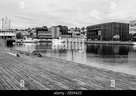 Sandnes, Norwegen, Mai 18 2023, Schwarz-Weiß- oder Monochrom-Blick auf Downtown Sandnes vom Harbour Boardwalk Stockfoto