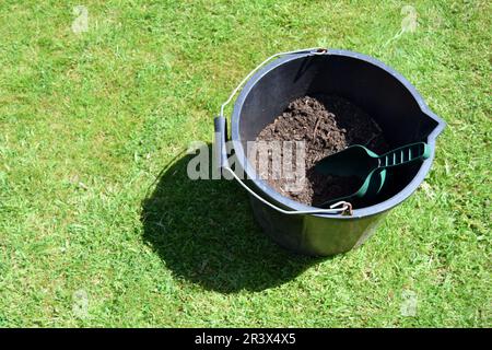Eine grüne Kunststoffkelle befindet sich in einem schwarzen Kunststoffeimer gefüllt mit dunkelbraunem Kompost auf grünem Gras in einem Garten im Norden Englands. Stockfoto