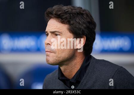 UD Almeria Cheftrainer Joan Francesc Ferrer Rubi schaut während des Spiels La Liga Santander zwischen Real Sociedad und UD Almeria im reale Arena Stadium o Stockfoto