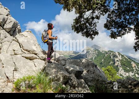 Escursionista ascendiendo al Puig de Tossals Verds, Escorca, Paraje natural de la Serra de Tramuntana, Mallorca, Balearen, Spanien. Stockfoto