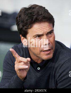 UD Almeria Cheftrainer Joan Francesc Ferrer Rubi schaut während des Spiels La Liga Santander zwischen Real Sociedad und UD Almeria im reale Arena Stadium o Stockfoto