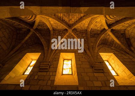 ventanas de alabastro de la cocina, , Monasterio de Santa María la Real de Iranzu, claustro, siglo XII - XIV, camino de Santiago, Abárzuza, Navarra, Spanien, Europa. Stockfoto