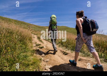 Senderistas en la cresta de polonina Carynska, Parque nacional Bieszczady, Reserva de la UNESCO llamada Reserva de la biosfera Carpática oriental, voivodato de la Pequeña Polonia, Cárpatos, Polonia, osteuropa. Stockfoto