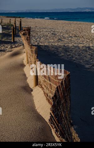 Barrieren für Dünenschutz, Strand von Llevant, Naturpark Ses Salines dEivissa i Formentera, Formentera, Pitiusas-Inseln, Balearengemeinschaft, Spanien. Stockfoto