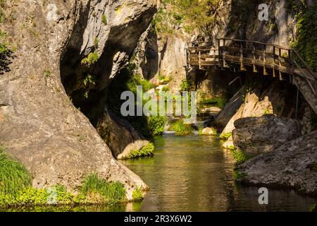 Cerrada de Elias, Ruta Del Rio Borosa, Parque natural Sierra de Cazorla, Segura y Las Villas, Jaen, Andalusien, Spanien. Stockfoto