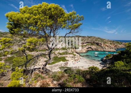 Caló des Marmols, Santanyí, Mallorca, Balearen, Spanien. Stockfoto