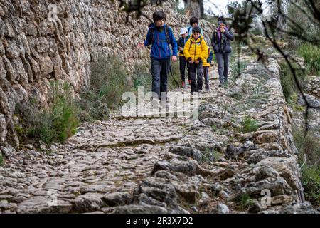 Senda de Bàlitx enpedrada, Fornalutx, Mallorca, Balearen, Spanien. Stockfoto