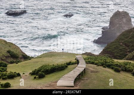 Muelle de las Ánimas, Pirulil, Costa occidental de la Isla Grande de Chiloé, Provincia de Chiloé, Región de Los Lagos, Patagonien, República de Chile, América del Sur. Stockfoto