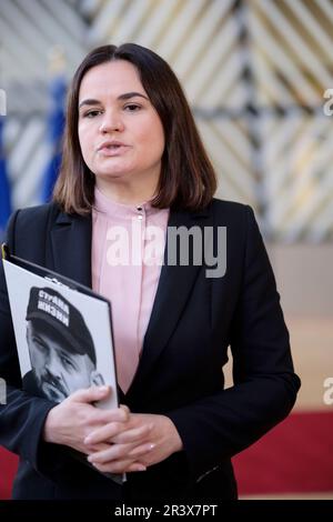 Belgien, Brüssel, 14. November 2022: Sviatlana Tsikhanouskaya, belarussischer politischer Aktivist, Gespräche mit den Medien nach einem Treffen mit ausländischen EU-Bürgern Stockfoto