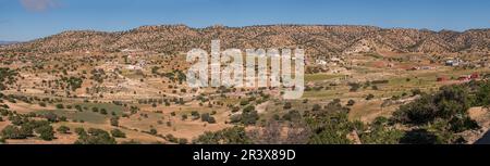 arganbaum, Assaka, Straße von Essaouira nach Agadir, marokko, afrika. Stockfoto