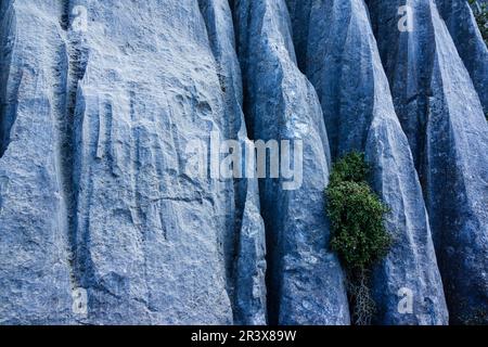 Entlasten kárstico, Mortix veröffentlicht Anwesen, natürliche Umgebung der Sierra de Tramuntana, Mallorca, balearen, spanien, europa. Stockfoto