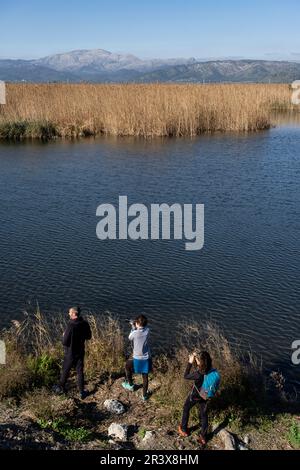 Amarador, albufera de mallorca, Mallorca, Balearen, Spanien. Stockfoto