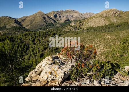 Mola de s'Esclop, 926 Metros de altura, Sierra de Tramuntana, Mallorca, Balearen, Spanien. Stockfoto