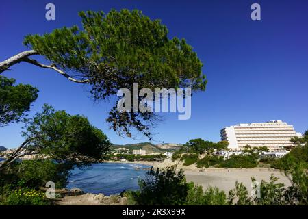 Paguera, Playa La Romana, Calvia, Mallorca, Balearen, Spanien. Stockfoto