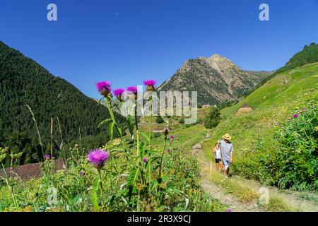 Granjas de Añes biadós, Valle de Cruces, Parque Natural Posets-Maladeta, Huesca, Cordillera de Los Pirineos, Spanien. Stockfoto