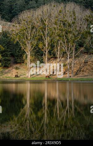 Ouiouane, Provinz Khénifra, Marokko, Afrika. Stockfoto