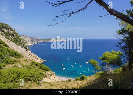 Playa de Es Coll Baix, ein Los pies del Puig de Sa Talaia, Alcudia, Islas Baleares, Spanien. Stockfoto