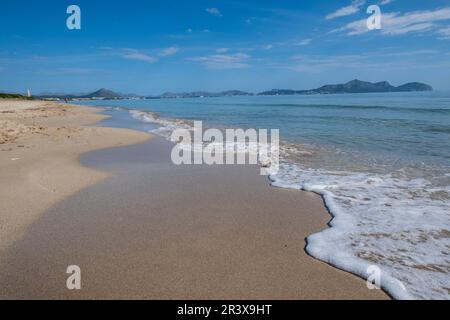 Es Comú, Àrea Natural d'Especial Interès, im Naturpark von s'Albufera, Muro, bahía de Alcúdia, Mallorca, Balearen, Spanien. Stockfoto