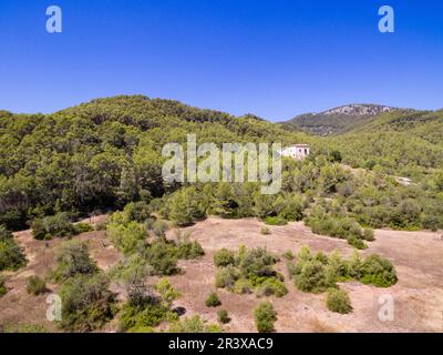 Pinar de Canet, Esporles, Sierra de Tramuntana, Mallorca, Balearen, Spanien, Europa. Stockfoto