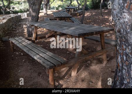 Erholungsgebiet Na Miranda, Naturpark Sa-Baia, Mallorca, Balearen, Spanien. Stockfoto