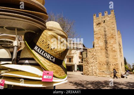 Puerta de Xara, - Puerta del Moll-, plaza Carles V, muralla Mittelalterliche, siglo XIV, Alcudia, Mallorca, Balearen, Spanien. Stockfoto