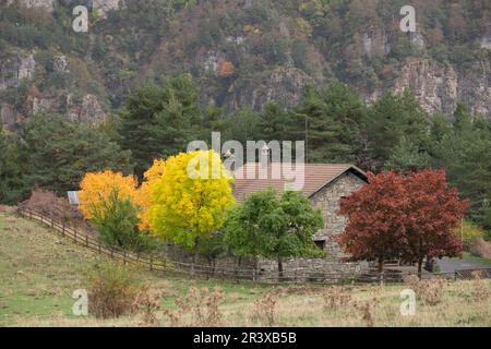 Berghütte der Gabardito, Hecho Tal, westlichen Täler, Pyrenäen, Provinz Huesca, Aragón, Spanien, Europa. Stockfoto