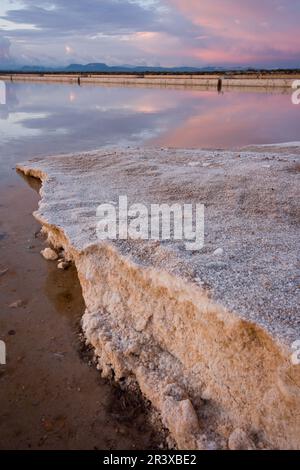 Salinas de Levante. Ses Salines.Migjorn.Mallorca.Baleares.España. Stockfoto